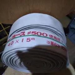 Item thumbnail for item 19f309f3-d5d1-4ab1-850f-2326379d6fb6