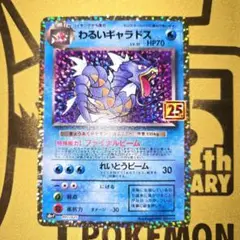 2025年最新】わるいギャラドス 25の人気アイテム - メルカリ