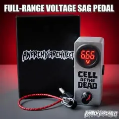 デンチ・オブ・ザ・デッド（エフェクターサグボックス ／ 電圧降下