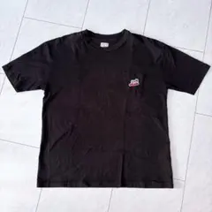 THE ENDLESS SUMMER TES BUHI刺繍 Tシャツ Lのサムネイル