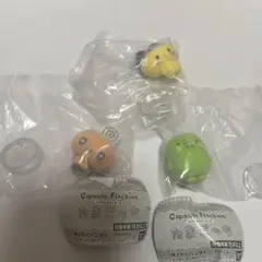 たまごっち カプセルフロッキーズ まめっち めめっち くちぱっち