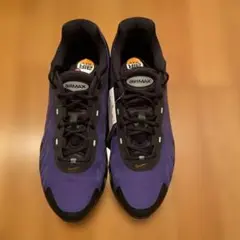 Nike Air Max DN8 "Fierce Purple"30cm