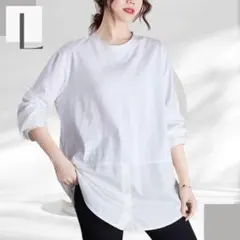 Item thumbnail for item 03a42b14-809c-4120-b35d-a036b7109b5a