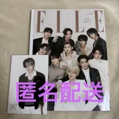 TREASURE ELLE ジェヒョク ポストカード 本誌