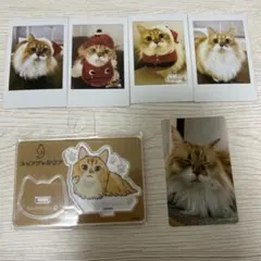 ニャンジャタウン　ナンジャタウン　猫　ねこ　ネコ　はちみつのサムネイル