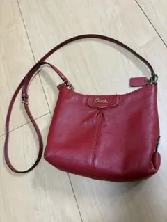 COACH オールドコーチ USA製 ドイツホックミニショルダー ハーフムーン