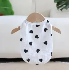 Item thumbnail for item 89ecc37b-0c9d-440b-b0e0-37365c5a91de