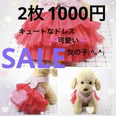 ワンちゃんドレス　レッドフリフリ