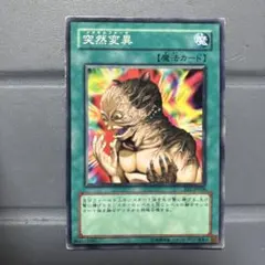 遊戯王　突然変異　メタモルフォーゼ
