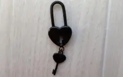 ハート型ロックと鍵デザインピアス 14g