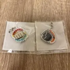 僕のヒーローアカデミア　エンドチャーム