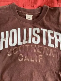 Hollister ブラウン Tシャツ Mサイズ
