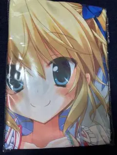 未使用 難あり キャラハイ 一騎当千 孫策伯符 両面 抱き枕カバー 