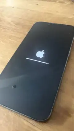 iPhone 13 Pro 256GB グラファイ｜SIMフリー｜動作確認済み