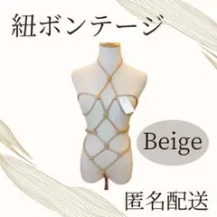 Item thumbnail for item aa5a354a-eefd-467c-b85c-e5dda07a14fc