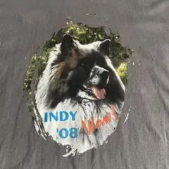 ギルダン Tシャツ 半袖 2XL キースホンド プリント