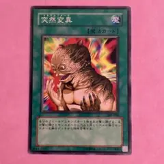 Item thumbnail for item cfb9a680-cf09-482b-8b77-1bc80e6eb65a