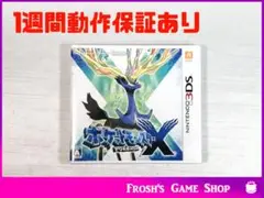 任天堂 3DS ポケットモンスターX