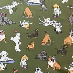 Vera Bradley 生地　厚手ナイロン　ワンチャン