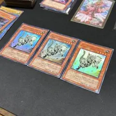 2026年最新】パキケファロ 遊戯王の人気アイテム - メルカリ