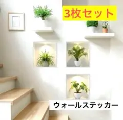 ウォールステッカー　観葉植物　壁紙 インテリア　壁飾り　シール 3枚セット