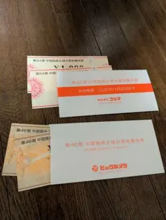 ビックカメラ+コジマ 株主優待券 4000円分　有効期限2026/11/30