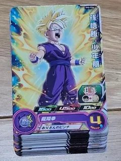 スーパードラゴンボールヒーローズSH4弾C、R48種コンプ - メルカリ