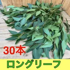 t0518haru様 リクエスト 2点 まとめ商品