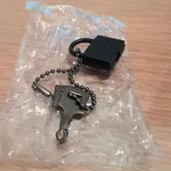 キャリーケース 旅行用品