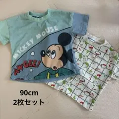 値下げしました★90cm Tシャツ 2枚セットのサムネイル