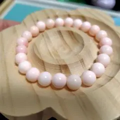 クィーンコンクシェル　コンク貝