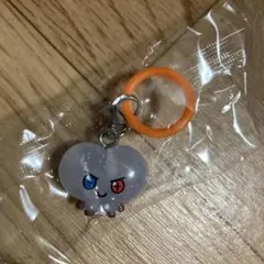 TRUZ めじるしアクセサリー　ジュンギュ　BONBON