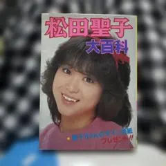 松田聖子 大百科 ★当時品★美品 少々難あり 松田聖子 大百科 ☆当時品☆美品 少々難あり - メルカリ