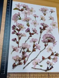 ❤️HAPPY FOR YOU❤️様 リクエスト 2点 まとめ商品