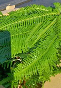 renre_14☆1107 プロフ必読専用