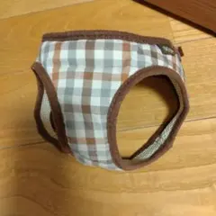 Item thumbnail for item a1c2086f-bcd8-4f53-9123-ade4d83c2cfb