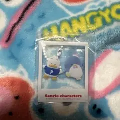 はいっ!ポーズ!キーホルダー　サンリオキャラクターズ