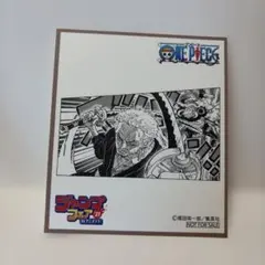 2021 ジャンプフェア ミニ色紙 ONE PIECE ワンピース ゾロ 非売品