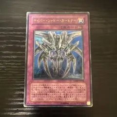 サイバーシャドーガードナー