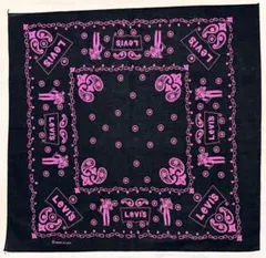 Item thumbnail for item 1acee8c7-1126-4e2c-aad0-d1c551cf315c