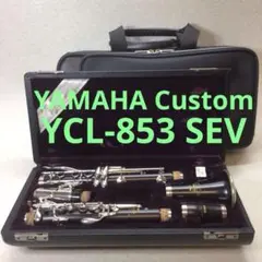 2025年最新】YCL-853の人気アイテム - メルカリ