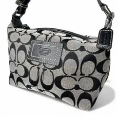 極美品　未使用　コーチ　レザーウェア　ポーチバッグ　ハンドバッグ　シグネチャー