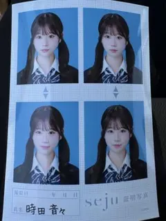 と*り様 seju セジュ 証明写真 時田音々 ときねね - メルカリ