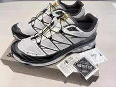 【新品同様】Salomon × SNS XT-6 GORE-TEX