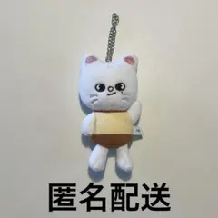 Stray Kids ジニレット グッズまとめ売り - メルカリ