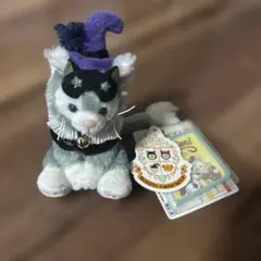【匿名発送】ジェラトーニ　ハロウィン風猫ぬいぐるみ