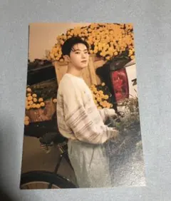 SEVENTEEN YourChoice ポストカード HOSHI ホシ