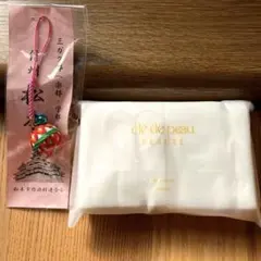 Item thumbnail for item 61b92413-2eb6-49b1-aaa8-e8c3aa6f289c