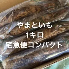 群馬県産 大和芋 やまといも 1キロ 農家直送のサムネイル