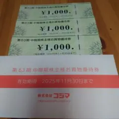 コジマ　お買物優待券3000円